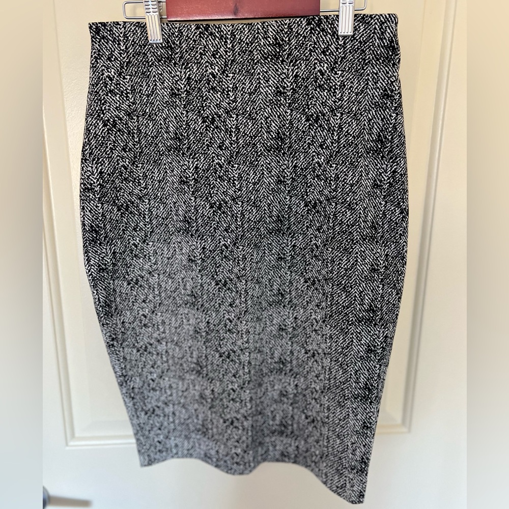 Express Pencil Skirt